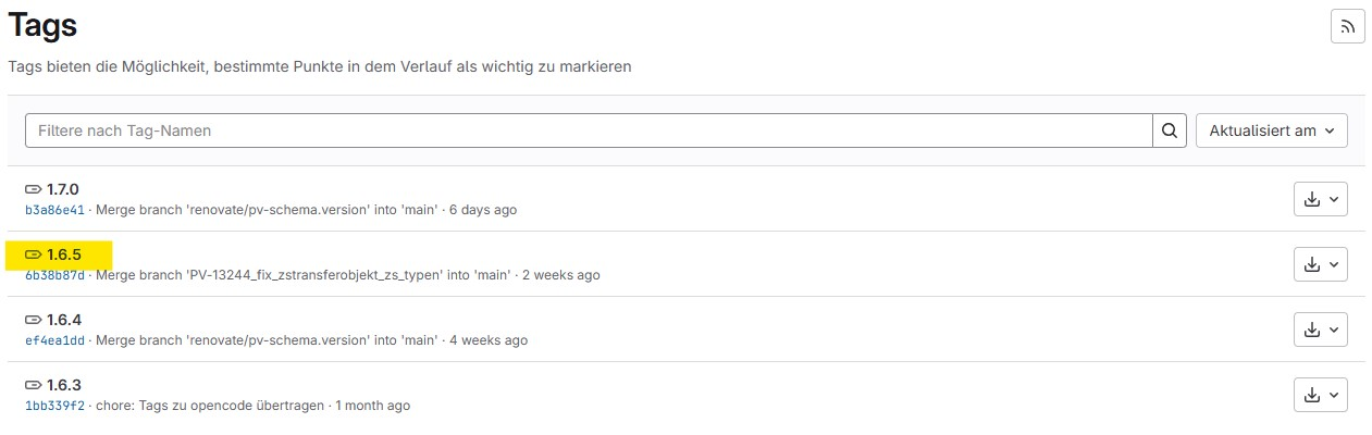 Darstellung der KonverterVersion mit Tag in openCode